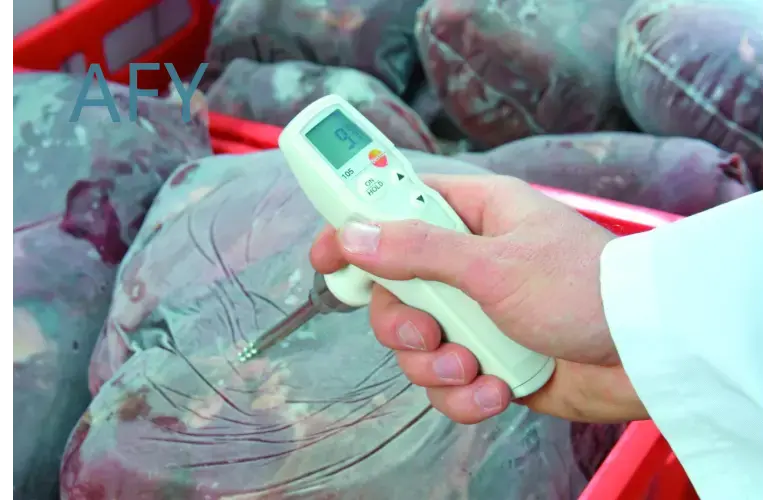 testo 105 for food thermometer - огляд і ціна Commercial Kitchen Inspection
